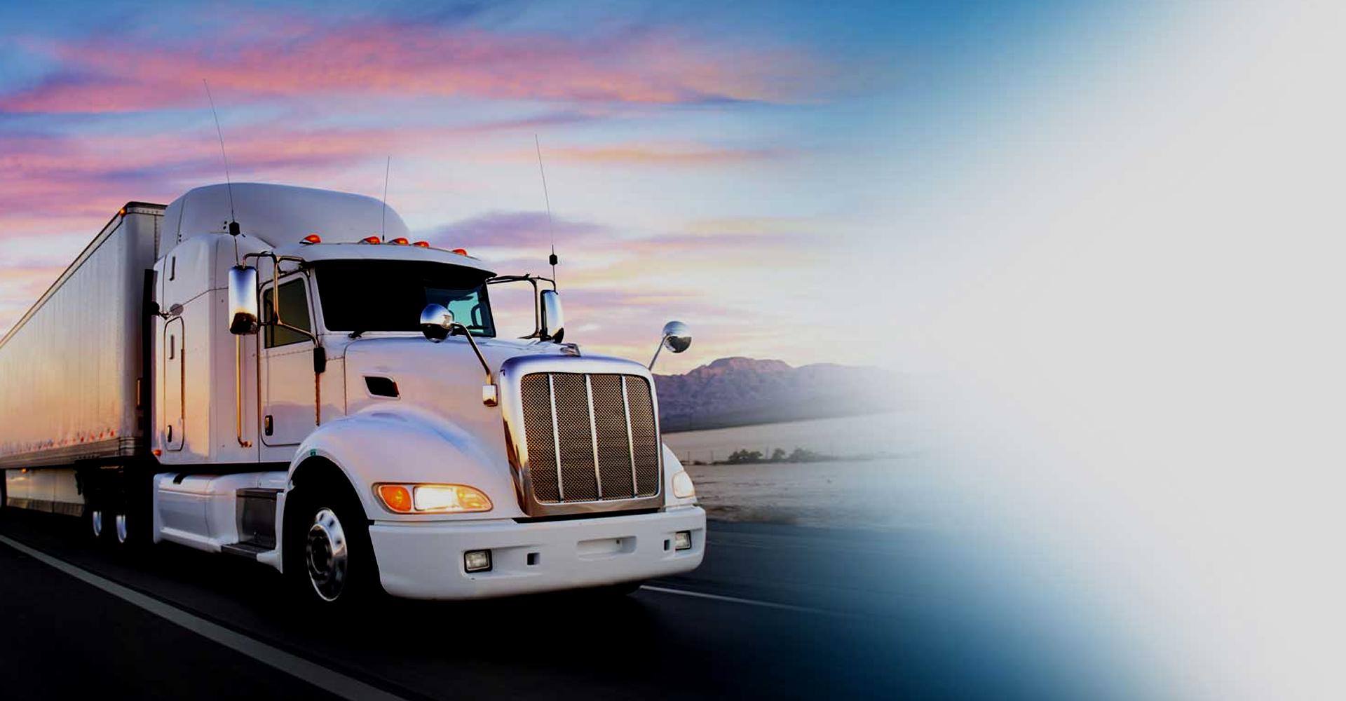 GLOBAL SHIPPING LOGISTICS SERVICES intelligence overview